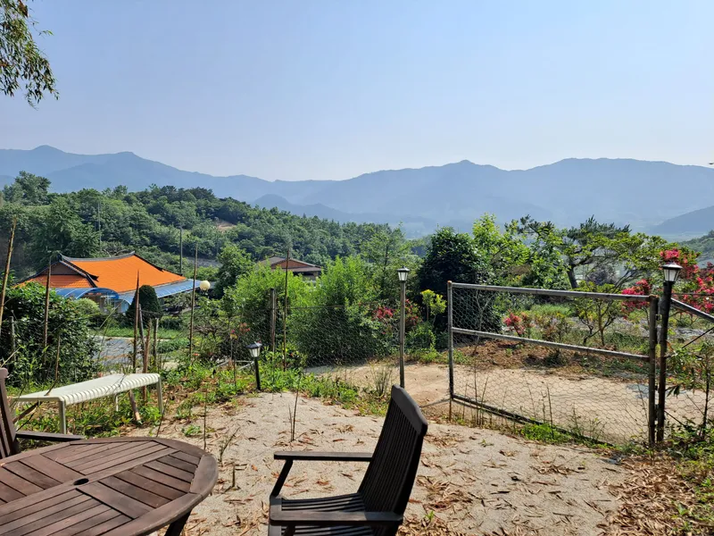 [전남 곡성] 섬진강 기차마을 대나무숲 마당넓은 애견동반 오직 한팀 펜션 100
