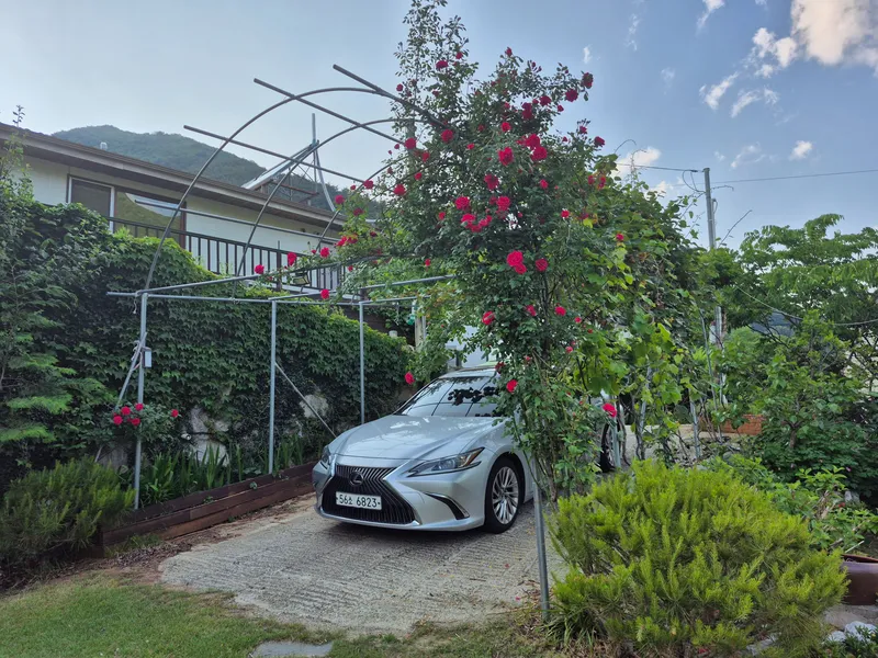 [Ulju, Ulsan] Baenaegol Country House 18