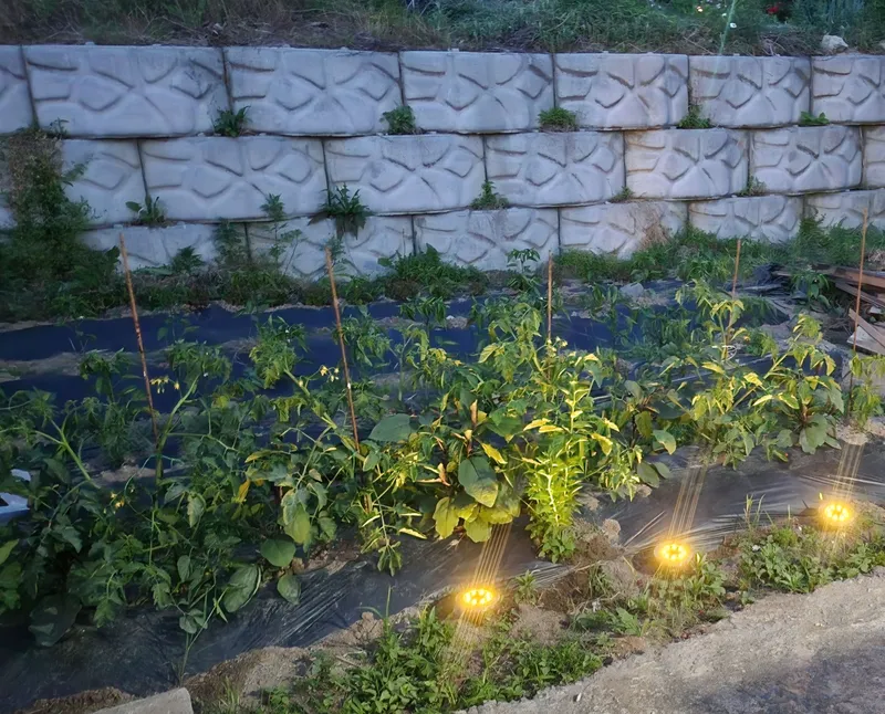 [Eumseong] Rural healing single-family home #Village vacation #Rural living #Forest area #House with yard 15