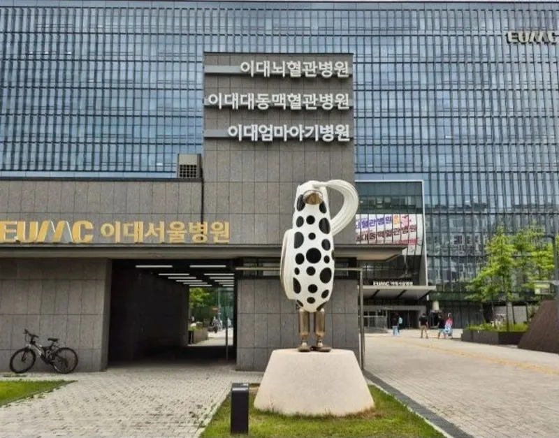 [Gangseo, Seoul] Balsan Station, Magok, Magoknaru, Gimpo Airport, Hongdae, Gangseo-gu Hot Place Jun No. 3 12