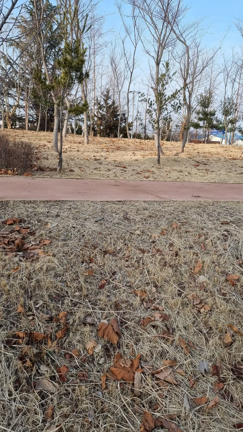 [광주 광산] 첨단,수완,하남 모던하우스 #불멍가능 #반려동물가능 21