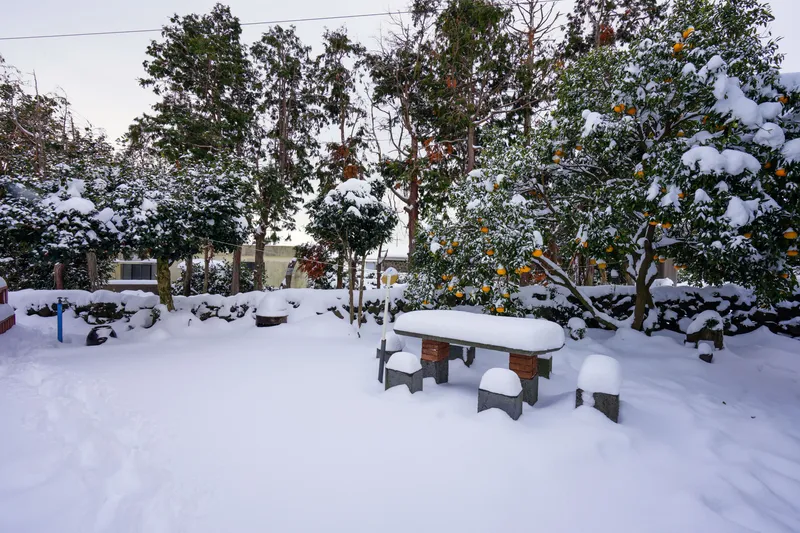 [Seongsan, Seogwipo][Kkotdam-dong] Like sunlight whispering on a stone wall, a clean and comfortable detached house 30