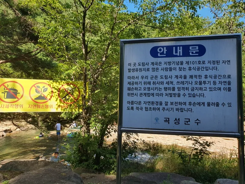 [전남 곡성] 섬진강 기차마을 대나무숲 마당넓은 애견동반 오직 한팀 펜션 145