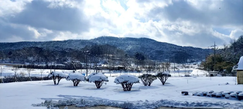[충남 예산] 충남 예산[송림당] 한옥독채  프리미엄급 최고급사양 넥플리스,디즈니+ 23