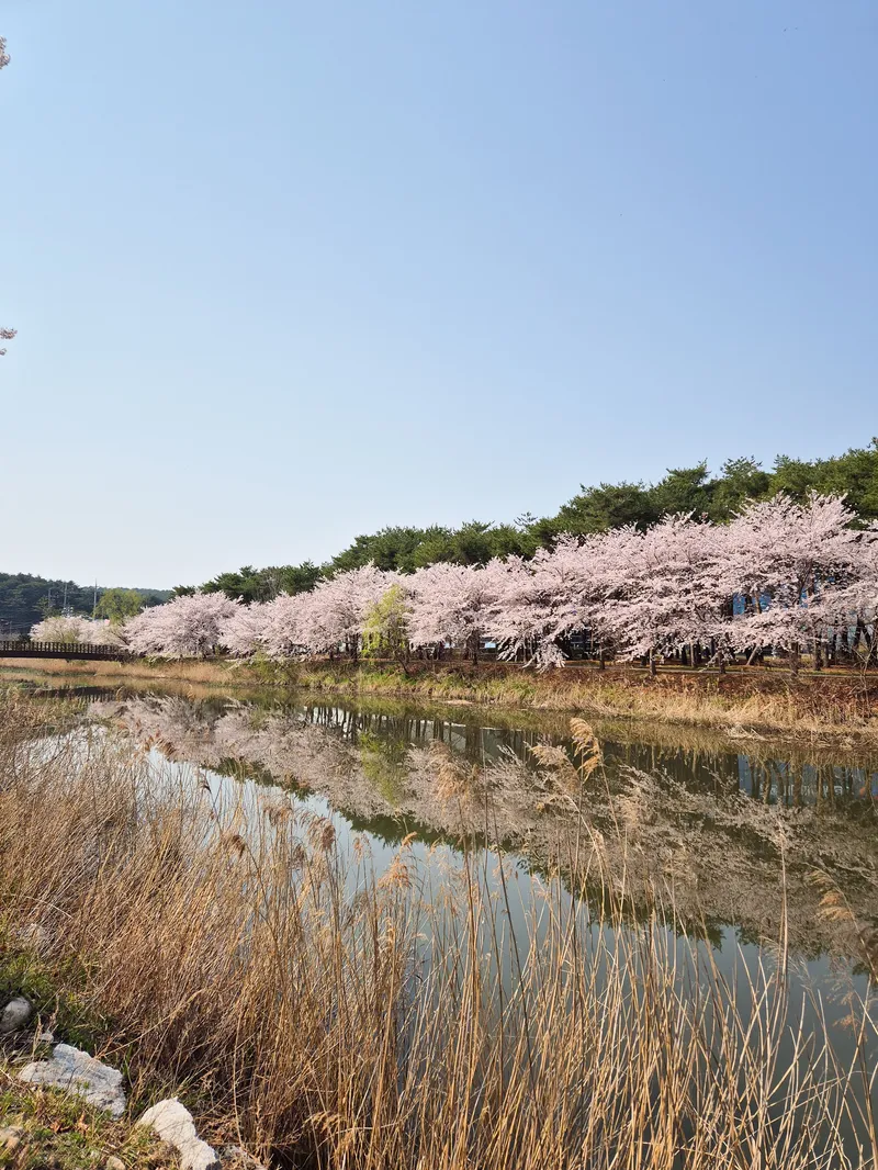 [Gangneung] Independent accommodation with good accessibility #Jungang Market #Ttukbokki (Netflix available) 61