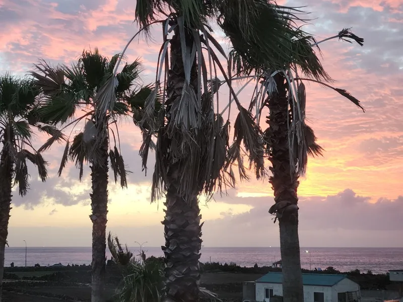 [Daejeong, Seogwipo] Jeju Sunset 22