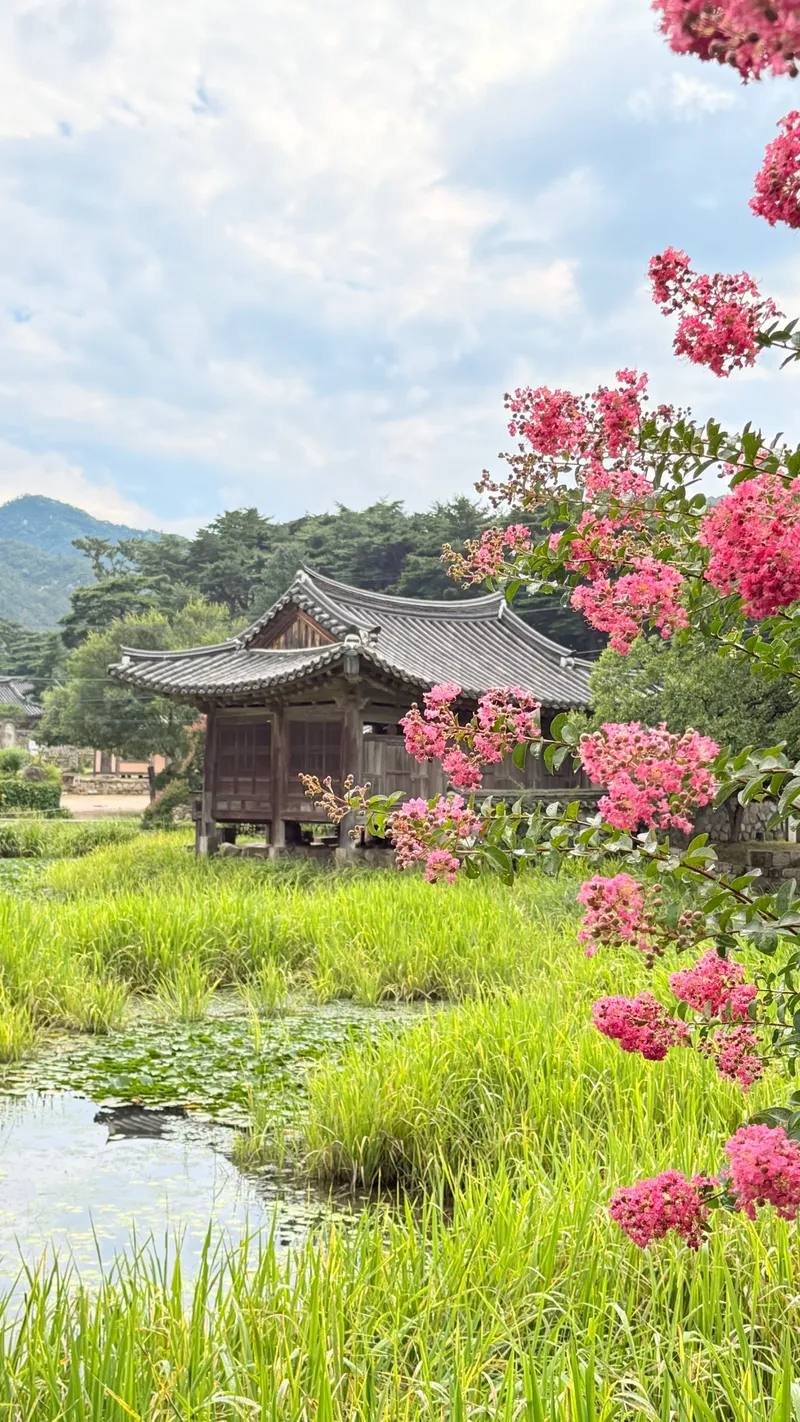 [Gyeongju] Two-room apartment near Hwangridan-gil 29