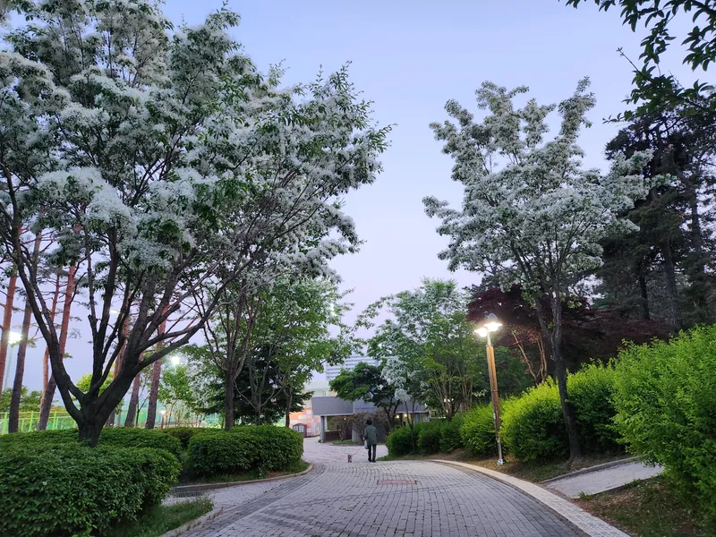 [경기 수원][수원 영통] 아주대 삼성전자 컨벤션센터 법원 26