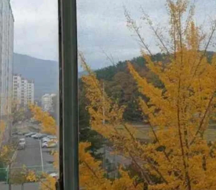 [경북 경주] 창뷰3/황리단길5분 16