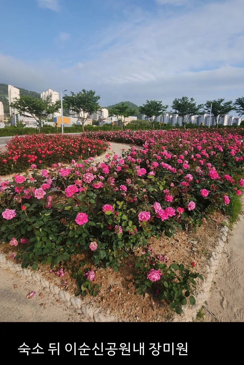[Yeosu] Beachfront marina, yacht marina, waterfront beach, Jangdo Island of Art, free parking 30