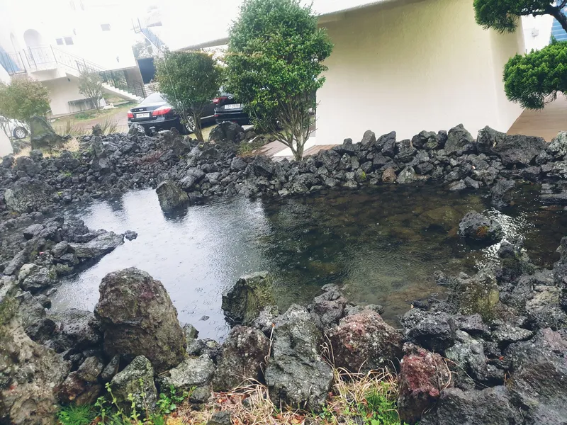 [제주 한림] #단독건물 #반려동물가능#야외수영장# 14동 12