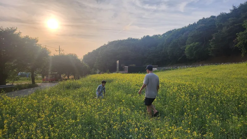[Eumseong] Rural healing single-family home #Village vacation #Rural living #Forest area #House with yard 22