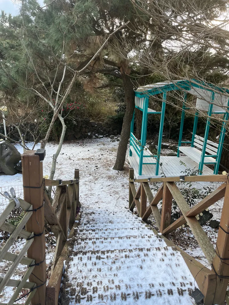 [Hallim, Jeju] 5-minute walk to Hyeopjae Beach, private house, dog-friendly, lawn yard, 65