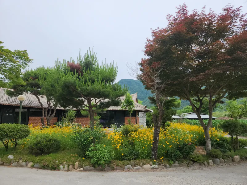 [강원 영월] 조용한 휴식 편백나무 투룸 독채 16