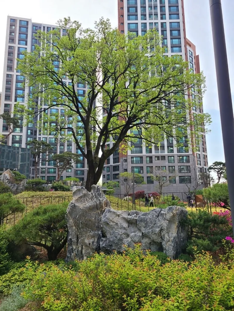 [Eunpyeong, Seoul] A newly built apartment like a park, 5 minutes walk from Nokbeon Station 20