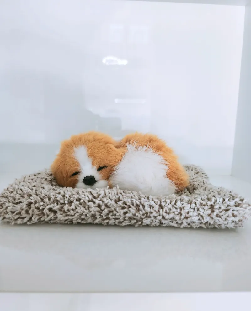 [경기 안산] 반달섬#오션뷰#테라스#더블복층#힐링숙소 #노을뷰#감성숙소27 11