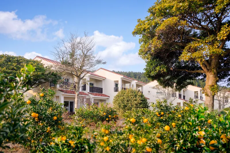 [Seongsan, Seogwipo] #101 #Pension #European style #Pets allowed #No utility deposit 21