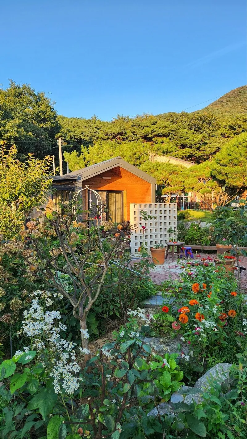 [Boryeong][Boryeong, South Chungcheong Province] A house with a beautiful garden 11