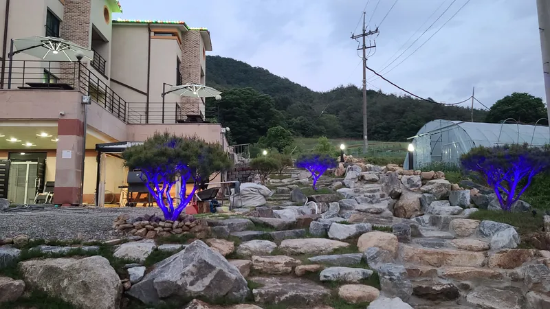 [충북 괴산] 속리산 화양계곡 청정지역 숲세권 휴양 요양 최고 / 향나무 13