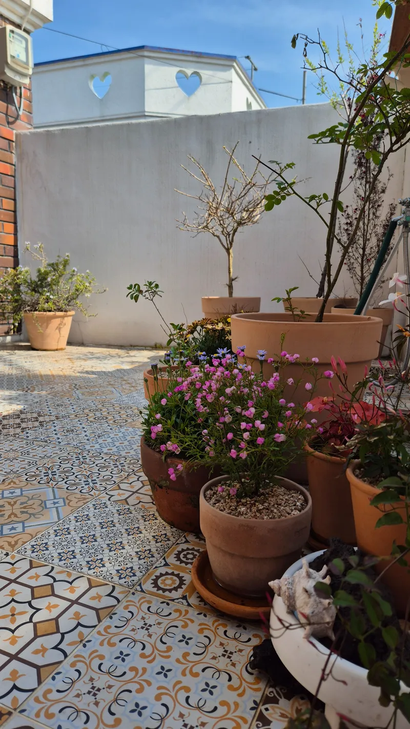 [Jocheon, Jeju] A two-room detached house in a quiet village 5 minutes' walk from Hamdeok Beach 24