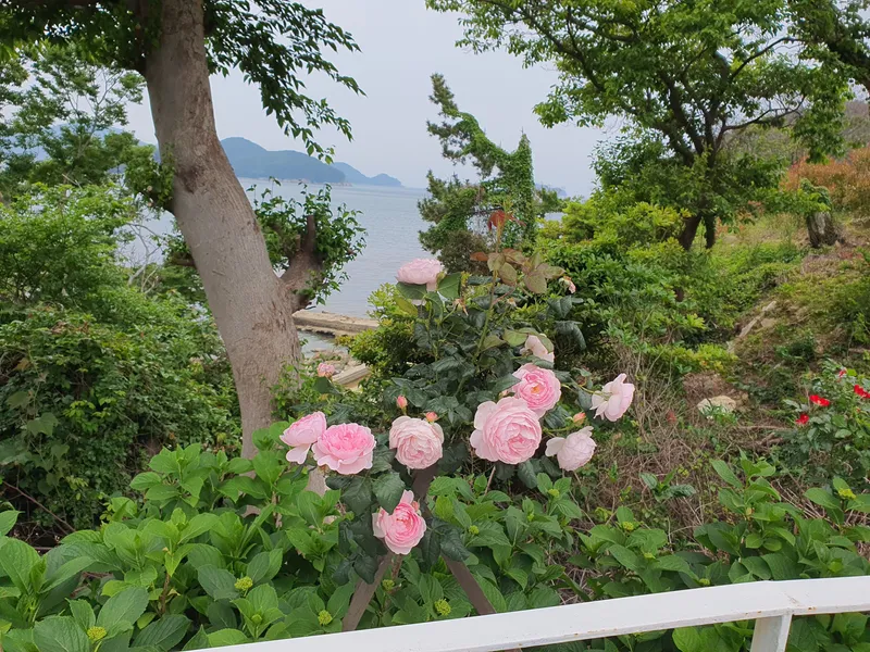 [Geoje] Duplex Pension #204 near Mangchi Beach 30