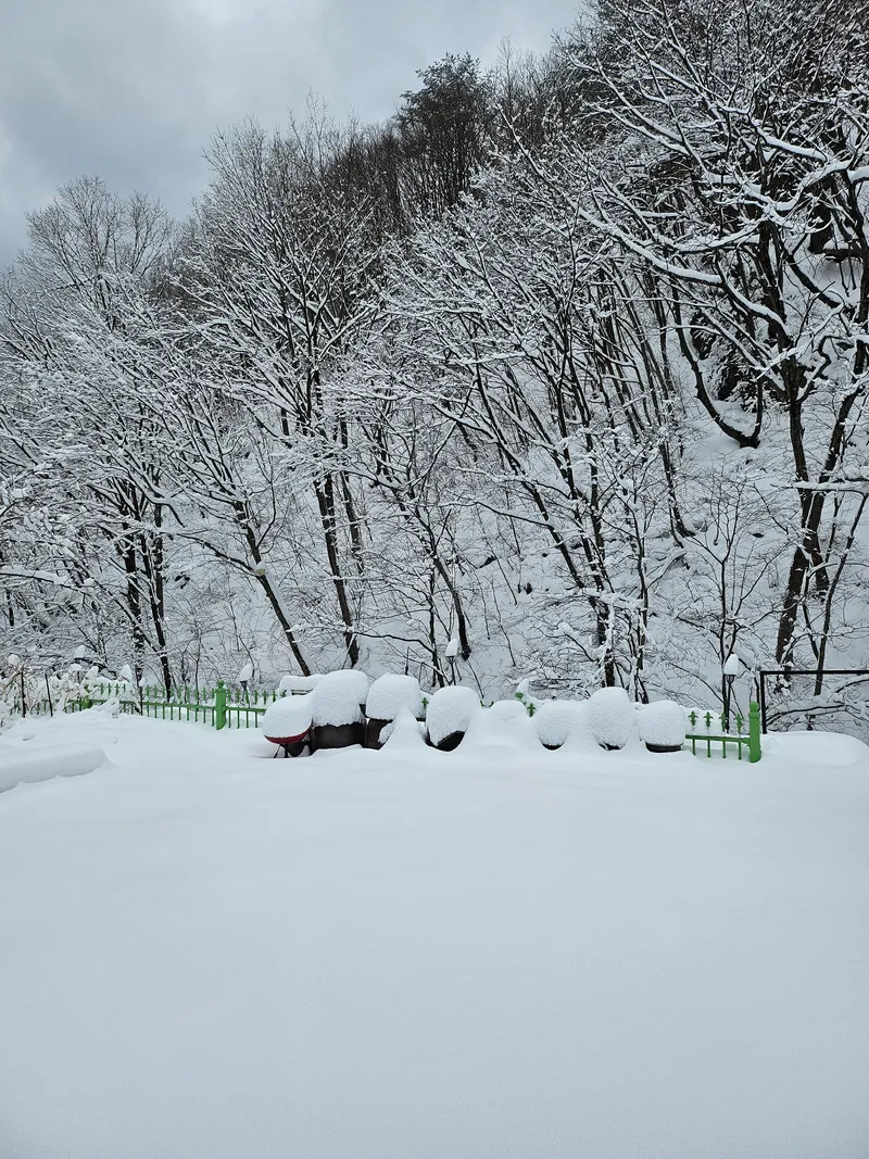 [Yangyang] Private, dog-friendly barbecue area 20 minutes from Hajodae near Beopsuchi Valley 30
