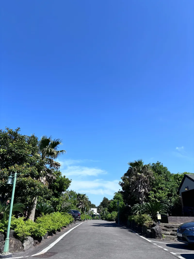 [Gujwa, Jeju] Bijarim Healing House No. 15 with a Yard 29