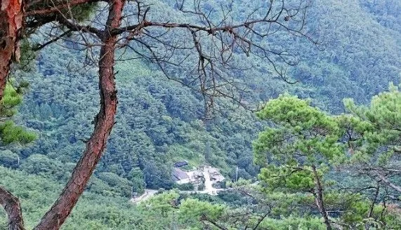 [전남 구례] 섬진강변 청정산골 황토 구들방 반려동물가능 42