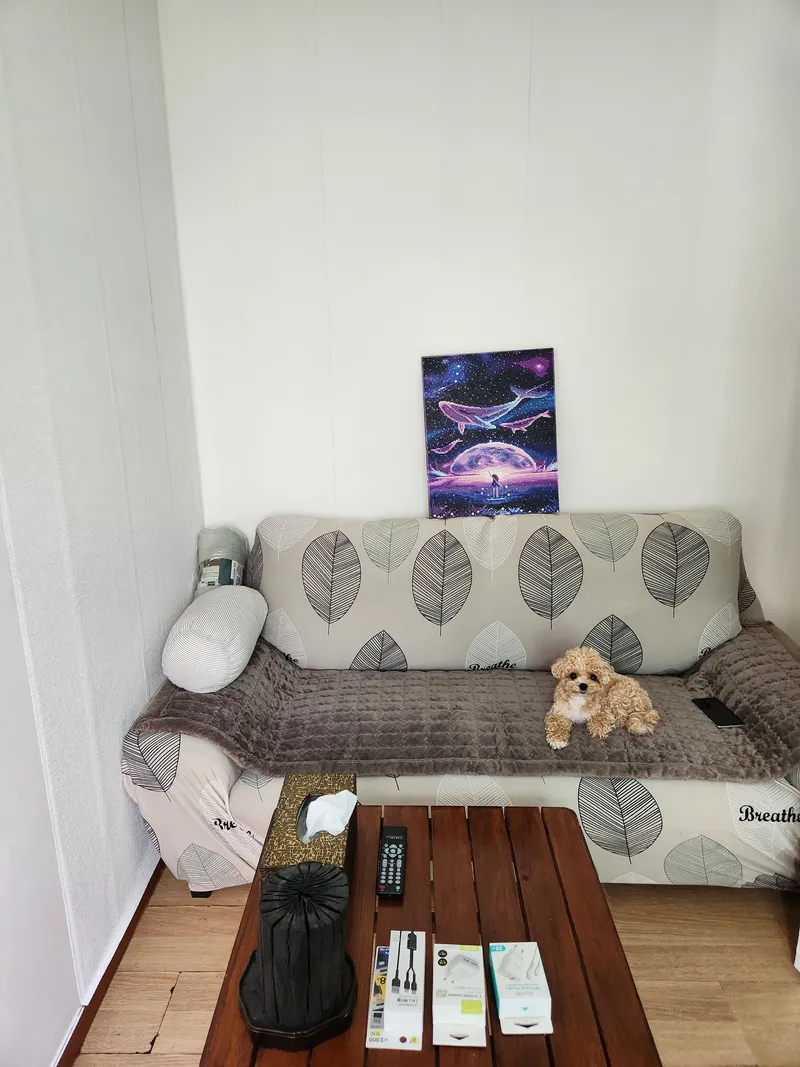 [Yeoju] Namhangang River Cute 2-story country house with a dog in the yard 4