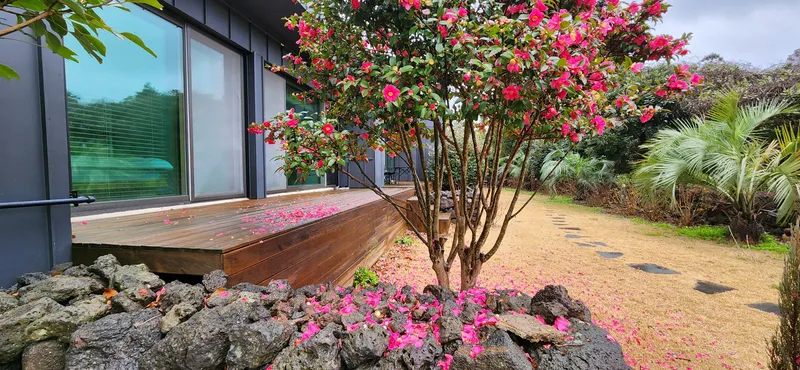 [Hangyeong, Jeju] Cozy stone wall two-room detached house with tangerine field view 18