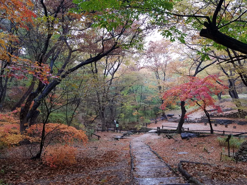 [Jongno, Seoul] Quiet Buam-dong 2 in Jongno (near Buam-dong and Pyeongchang-dong) 34