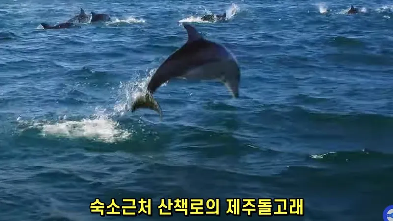[Hangyeong, Jeju] Private guesthouse near Suwolbong Eongal Beach 35