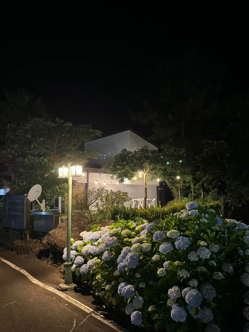 [제주 구좌] 비자림 힐링 12호집 31