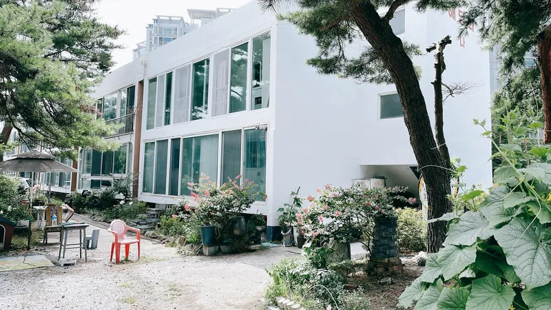 [강원 강릉] 송정 해당화 연립 13