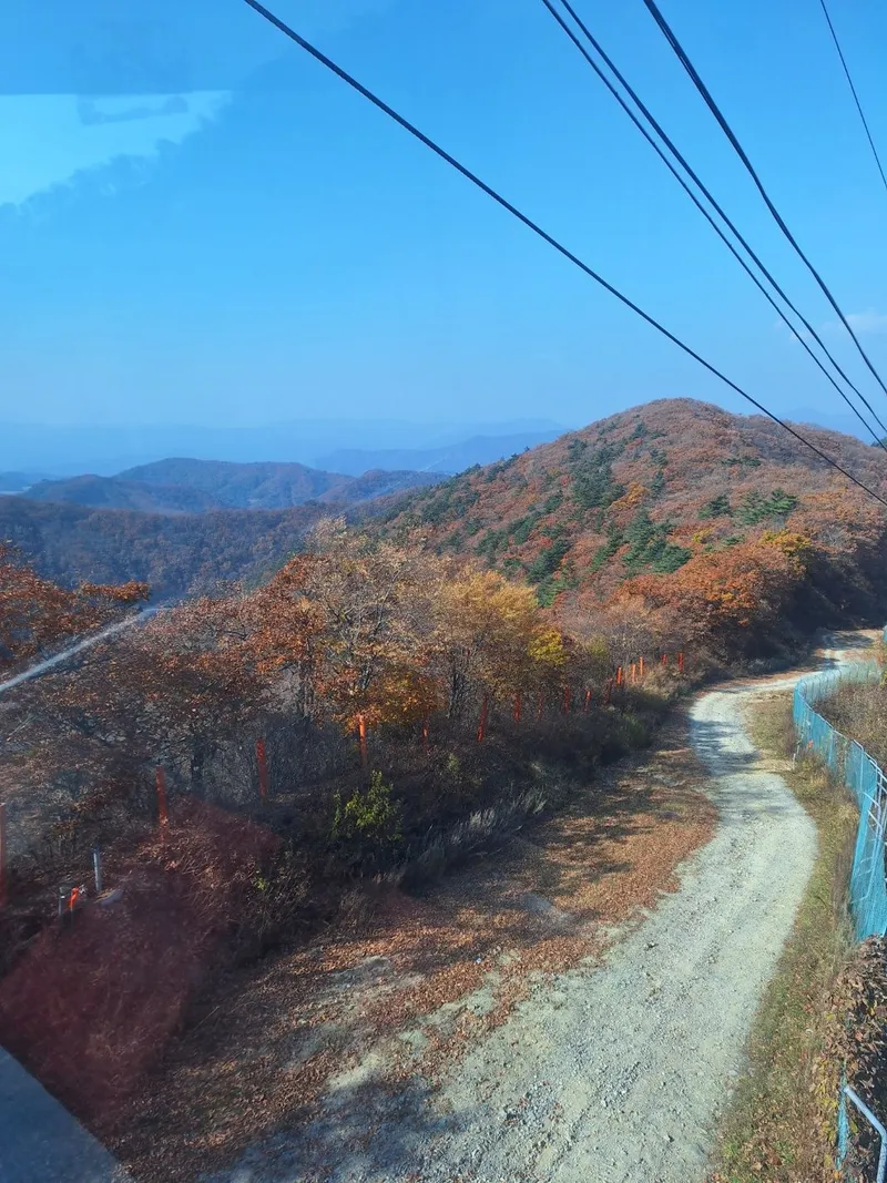 [강원 평창] 마운틴뷰 대관령 숲세권 인기 숙소 40