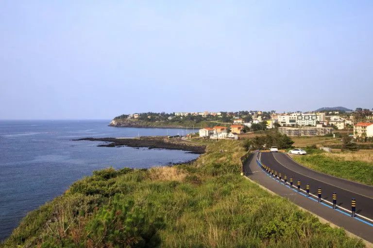 [Aewol, Jeju] Dog-friendly, Lawn yard, 15 pyeong usable area, Clean and pleasant, BBQ 41