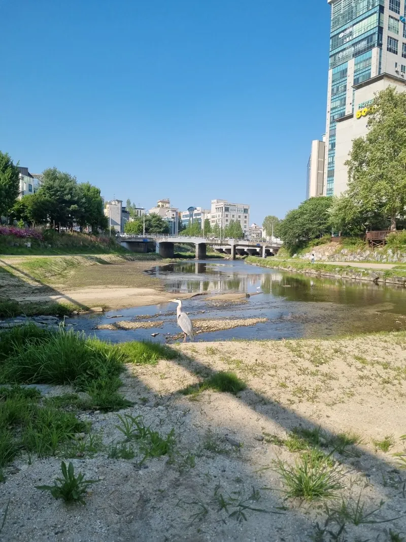 [대전 유성] 카이스트 충남대  단기임대 시험기간 출장 여행 실습기간 17