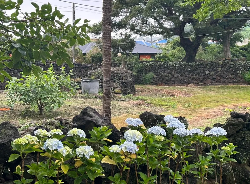 [Aewol, Jeju] Private house stay with a yard_A house where the charm of Jeju and the comfort of home coexist 47