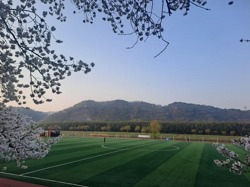 [울산 중구] 태화강국가정원이 내 앞마당처럼_ 우정혁신출장은  여행처럼 27