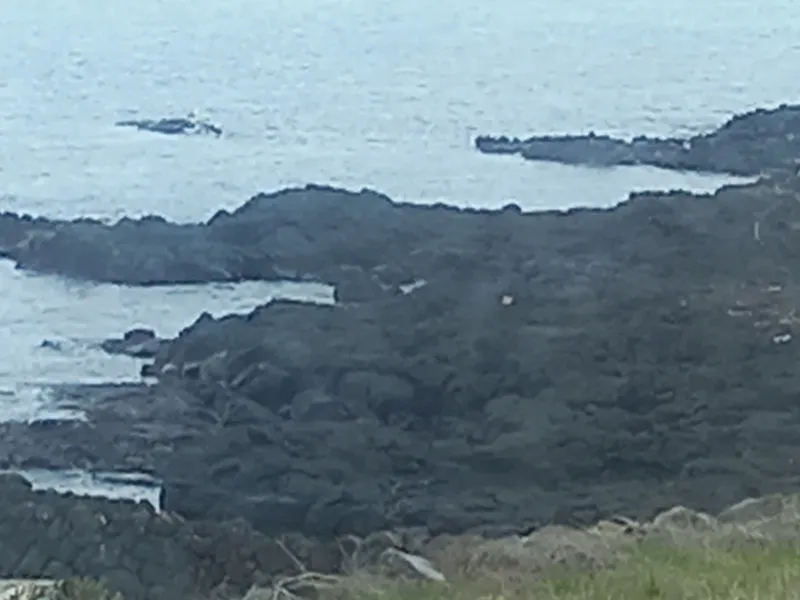 [Hallim, Jeju] Biyangdo/Ocean view Hyeopjae Beach Stay #103 #Pets allowed 14
