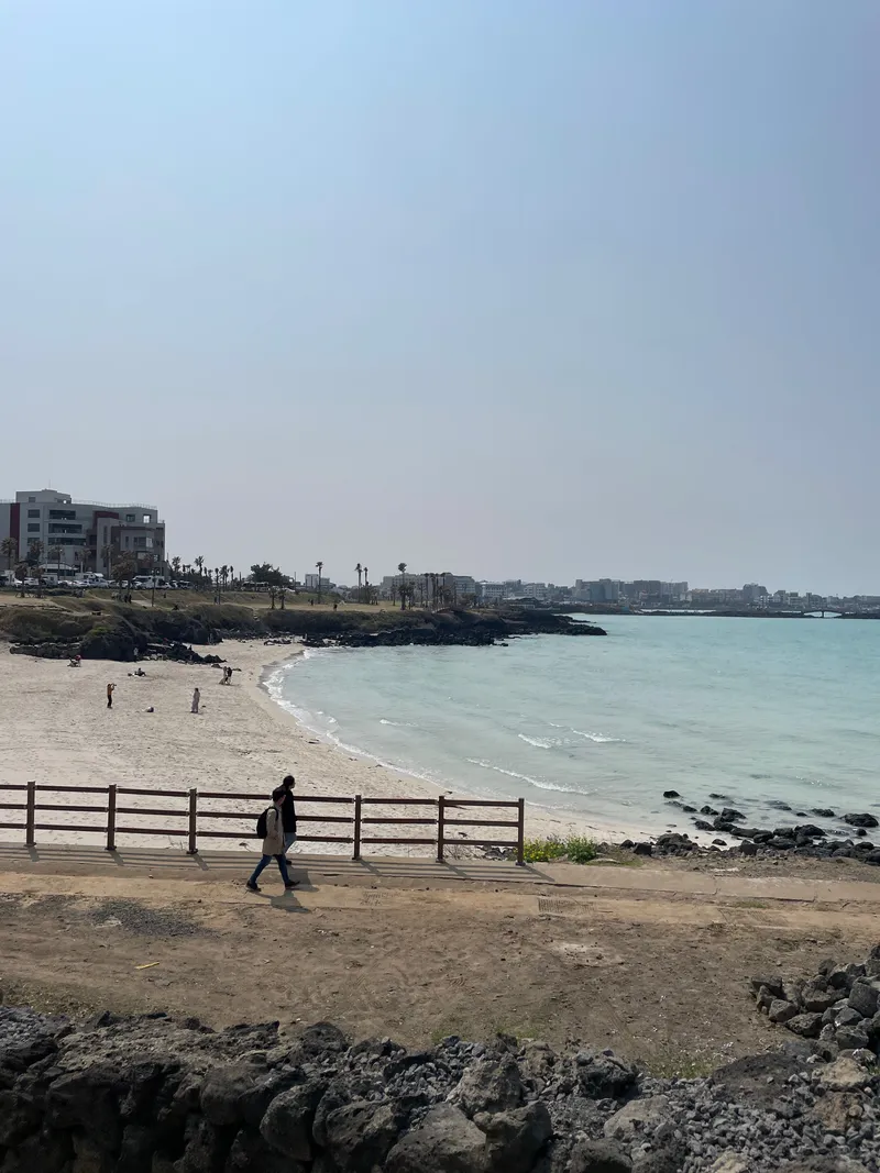 [제주 조천] 가족단위 애견동반 스테이 #바다조망 #넓은마당 31