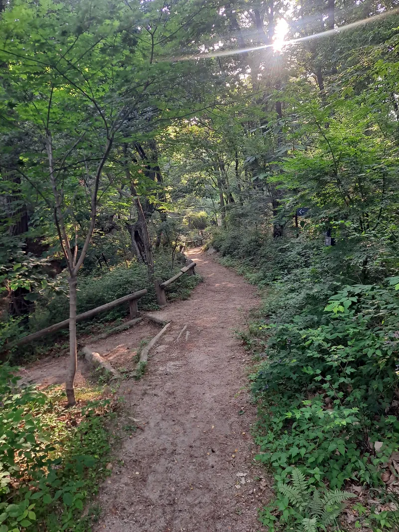 [서울 종로][종로 부암동]마당 이쁘고 루프탑에서 북악산뷰 (3층전체) 51