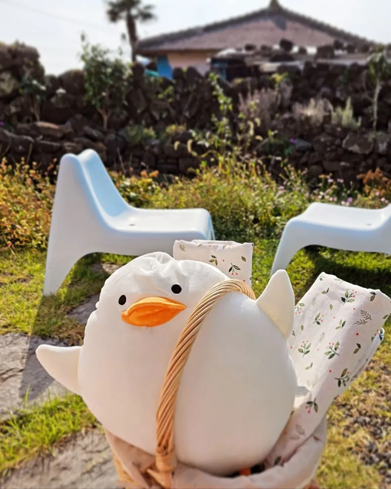 [Aewol, Jeju] 1 Minute from Aewol Sea, Every Moment Becomes Rest / Healing Private Stay / Fully Furnished Two-Room 28
