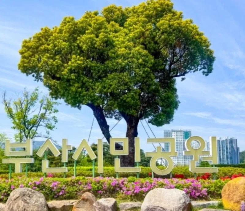 [Busanjin, Busan] Fully-equipped city view, 5-minute walk from Seomyeon Bujeon Station 13