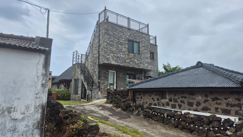[제주 구좌] 동쪽 세화바다 나무내음 1호 20