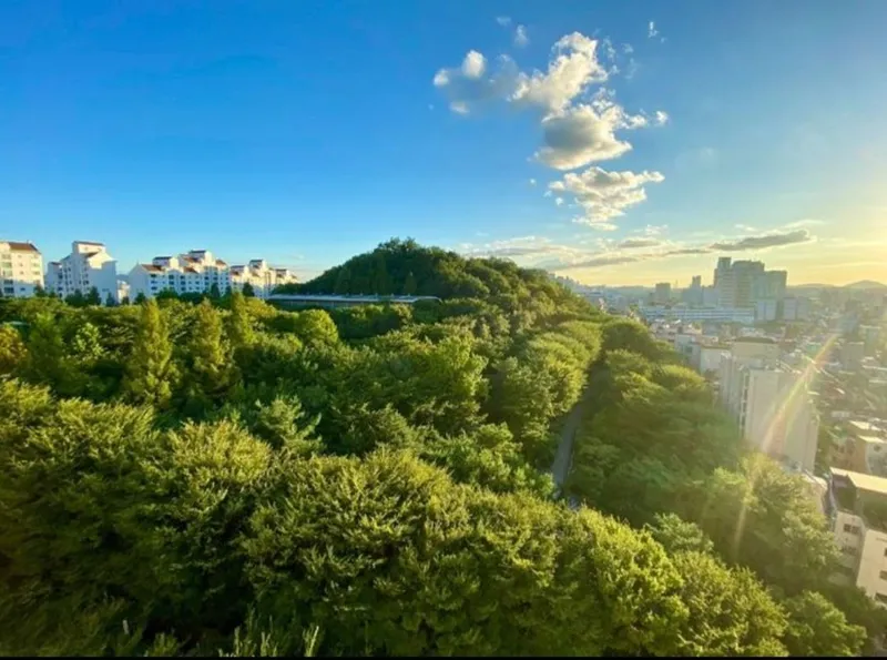 [Mapo, Seoul] Quiet mountain view near Sinchon and Hongdae Station 13