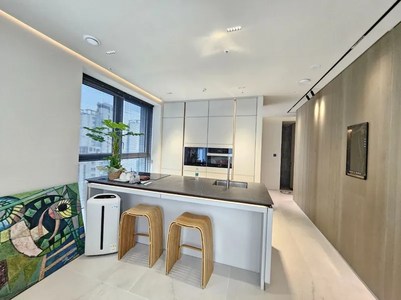 [서울 강남] Luxury Home 강남구청역1분 53