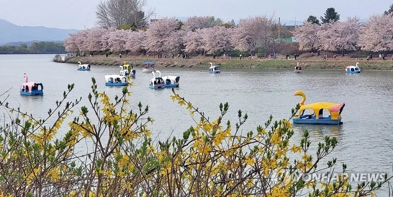 [Chuncheon][Chuncheon, Gangwon-do] Gongjicheon Officetel 9