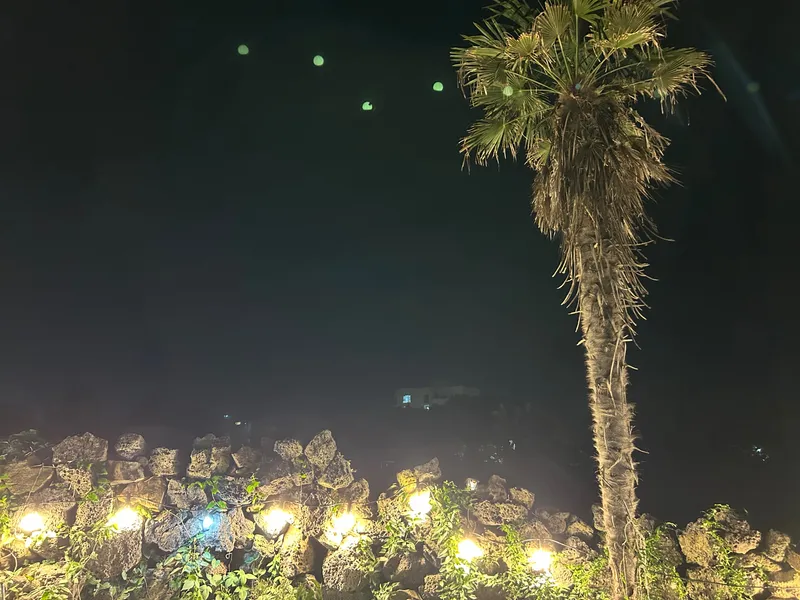 [제주 조천] 낭만의 제주 낚시 올레길산책 낭만스테이 바닷가 도보1분 42