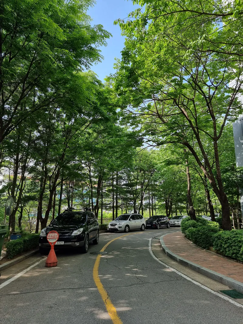 [경기 고양] 3룸 아파트 하우스 15